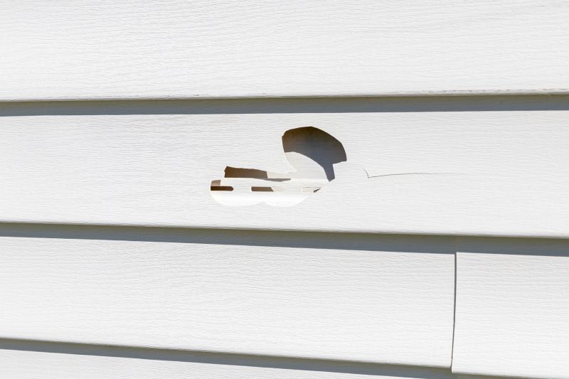 Vinyl Siding Repair - Inspection
